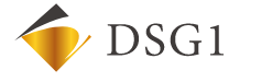 株式会社DSG1